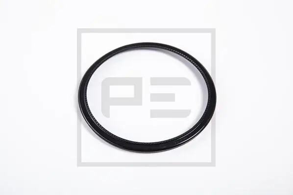 Dichtring, Antriebswellenlagerung PE Automotive 141.004-00A