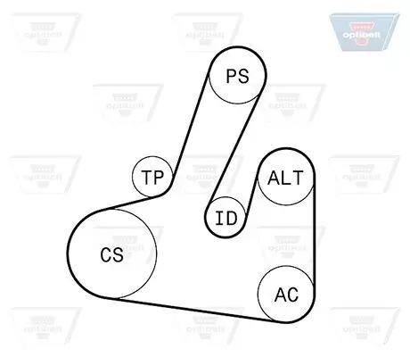 Keilrippenriemensatz OPTIBELT 6 PK 1705KT1 Bild Keilrippenriemensatz OPTIBELT 6 PK 1705KT1