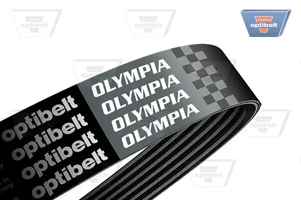 Keilrippenriemen OPTIBELT 8 PK 954 OLYMPIA