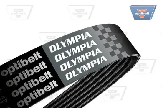 Keilrippenriemen OPTIBELT 6 PK 1157 OLYMPIA Bild Keilrippenriemen OPTIBELT 6 PK 1157 OLYMPIA