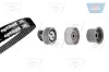 Zahnriemensatz OPTIBELT KT 1005
