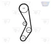 Zahnriemen OPTIBELT ZRK 1244 Bild Zahnriemen OPTIBELT ZRK 1244