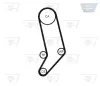 Zahnriemen OPTIBELT ZRK 1301 Bild Zahnriemen OPTIBELT ZRK 1301