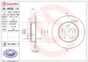 Bremsscheibe Hinterachse BREMBO 08.8065.14