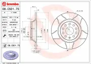 Bremsscheibe Hinterachse BREMBO 08.C501.75