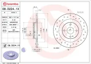 Bremsscheibe Hinterachse BREMBO 08.D224.1X