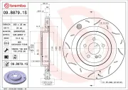 Bremsscheibe Hinterachse BREMBO 09.B879.1S