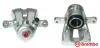 Bremssattel vor der Achse Hinterachse rechts BREMBO F 06 149