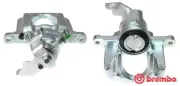 Bremssattel hinter der Achse Hinterachse rechts BREMBO F 11 017