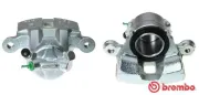 Bremssattel hinter der Achse Vorderachse rechts BREMBO F 16 027