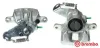 Bremssattel hinter der Achse Hinterachse links BREMBO F 23 094