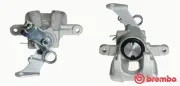 Bremssattel hinter der Achse Hinterachse rechts BREMBO F 23 157