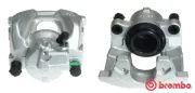 Bremssattel vor der Achse Vorderachse rechts BREMBO F 23 199