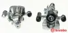 Bremssattel hinter der Achse Hinterachse links BREMBO F 24 062