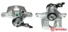 Bremssattel hinter der Achse Hinterachse links BREMBO F 24 100