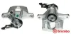 Bremssattel hinter der Achse Hinterachse rechts BREMBO F 24 101