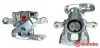 Bremssattel hinter der Achse Hinterachse links BREMBO F 24 118