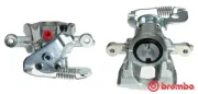 Bremssattel hinter der Achse Hinterachse links BREMBO F 24 118