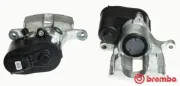 Bremssattel hinter der Achse Hinterachse rechts BREMBO F 24 135