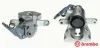 Bremssattel hinter der Achse Hinterachse rechts BREMBO F 24 153