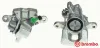 Bremssattel hinter der Achse Hinterachse links BREMBO F 28 084