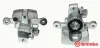 Bremssattel hinter der Achse Hinterachse rechts BREMBO F 30 083