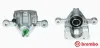 Bremssattel hinter der Achse Hinterachse rechts BREMBO F 30 087