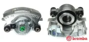 Bremssattel hinter der Achse Vorderachse rechts BREMBO F 37 001