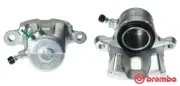 Bremssattel hinter der Achse Vorderachse rechts BREMBO F 49 051
