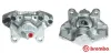 Bremssattel hinter der Achse Hinterachse rechts BREMBO F 50 011