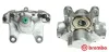 Bremssattel hinter der Achse Hinterachse links BREMBO F 50 076