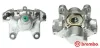 Bremssattel hinter der Achse Hinterachse rechts BREMBO F 50 077