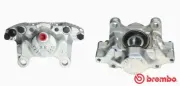 Bremssattel hinter der Achse Hinterachse rechts BREMBO F 50 087