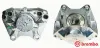 Bremssattel hinter der Achse Vorderachse rechts BREMBO F 50 093