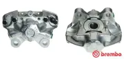 Bremssattel vor der Achse Hinterachse rechts BREMBO F 50 107