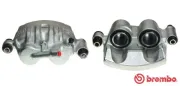 Bremssattel hinter der Achse Hinterachse links BREMBO F 50 172