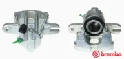 Bremssattel hinter der Achse Vorderachse rechts BREMBO F 50 175