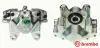 Bremssattel hinter der Achse Hinterachse rechts BREMBO F 50 211