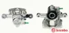 Bremssattel hinter der Achse Hinterachse links BREMBO F 50 216