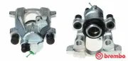 Bremssattel vor der Achse Hinterachse links BREMBO F 50 246