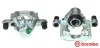 Bremssattel hinter der Achse Hinterachse rechts BREMBO F 50 291