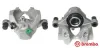 Bremssattel hinter der Achse Hinterachse rechts BREMBO F 50 299