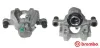 Bremssattel hinter der Achse Hinterachse links BREMBO F 50 316