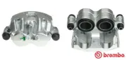 Bremssattel hinter der Achse Vorderachse rechts BREMBO F 50 339