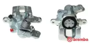 Bremssattel hinter der Achse Hinterachse rechts BREMBO F 52 049