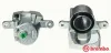 Bremssattel hinter der Achse Vorderachse rechts BREMBO F 54 093