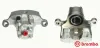 Bremssattel hinter der Achse Hinterachse rechts BREMBO F 54 099