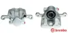 Bremssattel hinter der Achse Hinterachse links BREMBO F 54 108