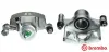 Bremssattel hinter der Achse Hinterachse rechts BREMBO F 56 031