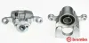 Bremssattel hinter der Achse Hinterachse rechts BREMBO F 56 147